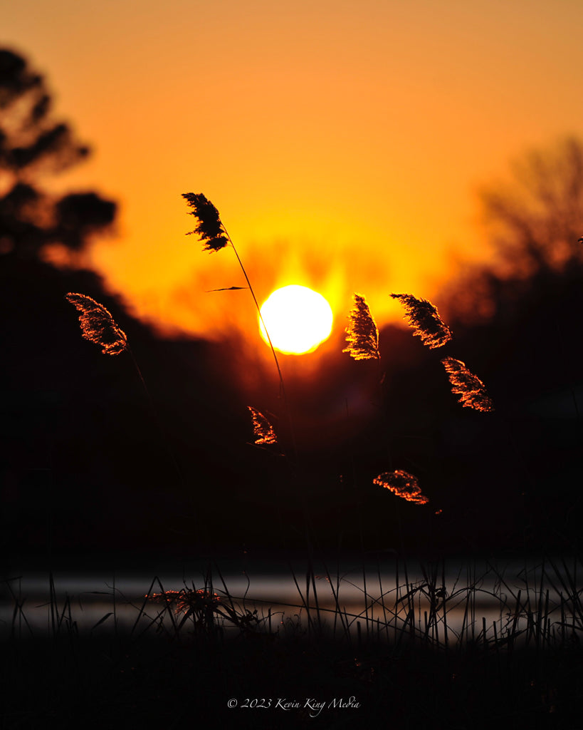 Golden Hour In Norfolk