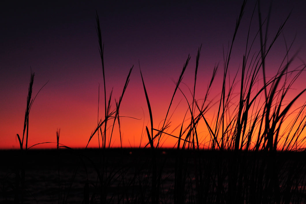 Seagrass Sunset